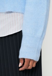 Ruka s malou tetovanou srdiečkom, oblečená v svetlomodrom huňatom svetri cez bielu a červeno prúžkovanú košeľu a čiernu plisovanú sukňu.