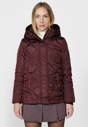 PADDED  - Chaqueta de invierno - burdeos   bordeaux
