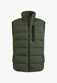 Wybrany, climbing ivy