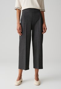 Grijze geplooide broek gemaakt van textiel met een hoge taille en een cropped lengte, gecombineerd met lichtgekleurde instappers.