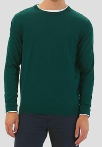 Groene gebreide trui met een ronde hals, lange mouwen en witte accenten bij de manchetten. Gladde textuur, getailleerd ontwerp en geribbelde zoom.