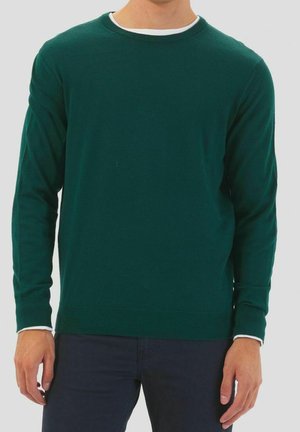 Grüner gestrickter Pullover mit Rundhalsausschnitt, langen Ärmeln und weißen Akzenten an den Bündchen. Glatte Textur, enganliegendes Design und gerippter Saum.