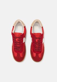 Dolce Vita NOTICE - Tenisice - crimson
