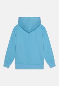 Light blue hooded sweatshirt with long sleeves and ribbed cuffs and hem, shown from the back on a white background.