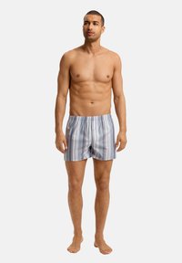 Boxer da uomo a righe in azzurro chiaro, con linee verticali di diverse larghezze. Vita elastica, vestibilità ampia, tessuto in cotone.
