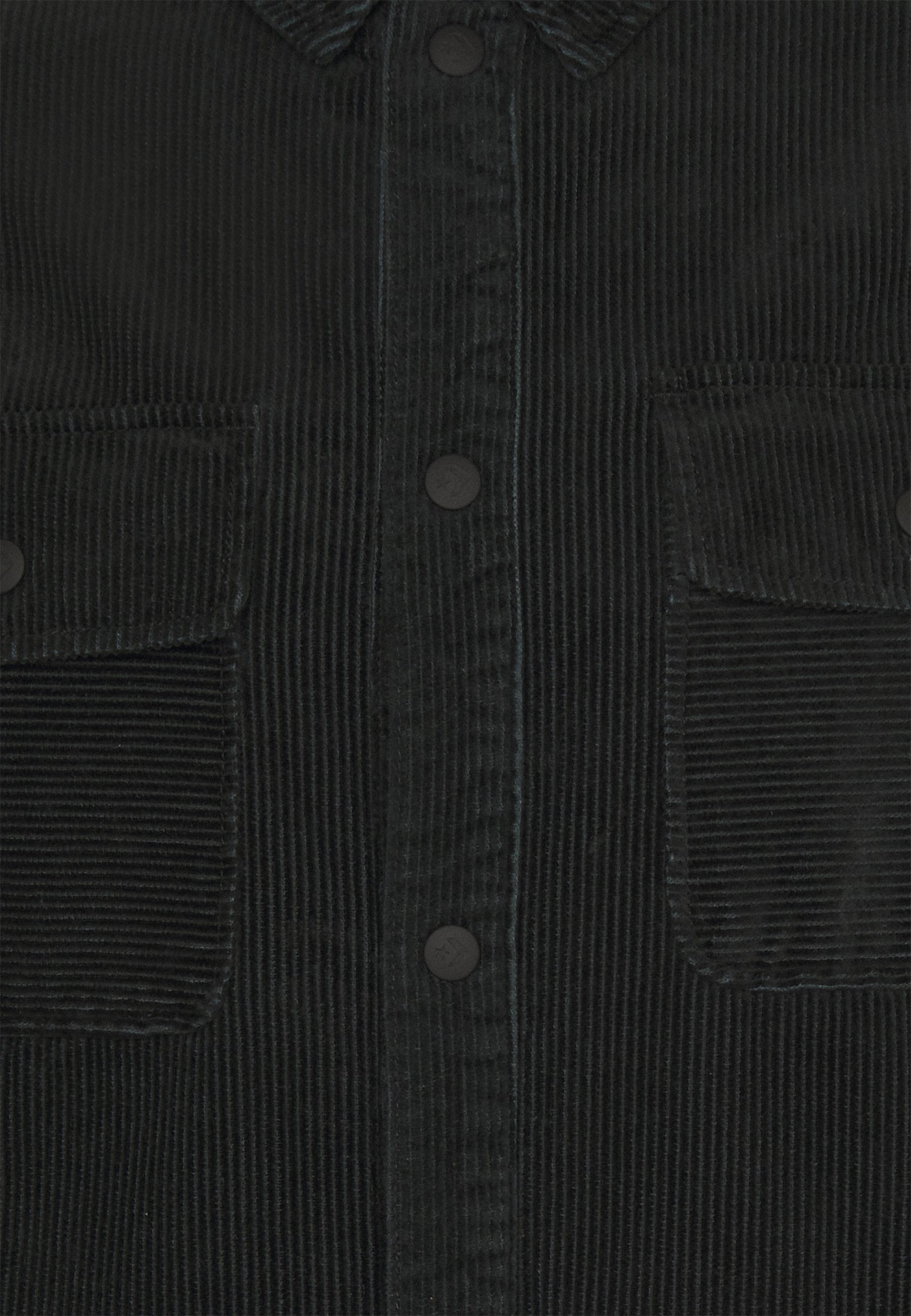 converse button down shirt