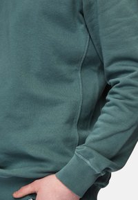 Honesty Rules Collegepaita - sage