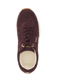 Dark brown suede sneaker with matching laces, white sole, and gold "Dune" branding on side and tongue, viewed from above.
