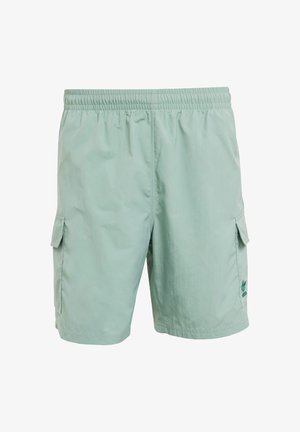 Šviesiai žali cargo šortai pagaminti iš sintetinės medžiagos, su elastinga juosta, šoninėmis kišenėmis ir mažu logotipu apatinėje kampe.