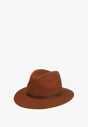 Brauner Filz-Fedora-Hut mit breiter Krempe und einem dunkelbraunen Lederband am Sockel der Krone.