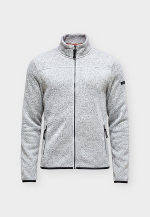 Icepeak, ADRIAN - Fleecejacke - light grey