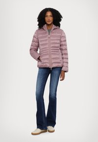 EA7 Emporio Armani GIUBBOTTO - Žieminė striukė - pink