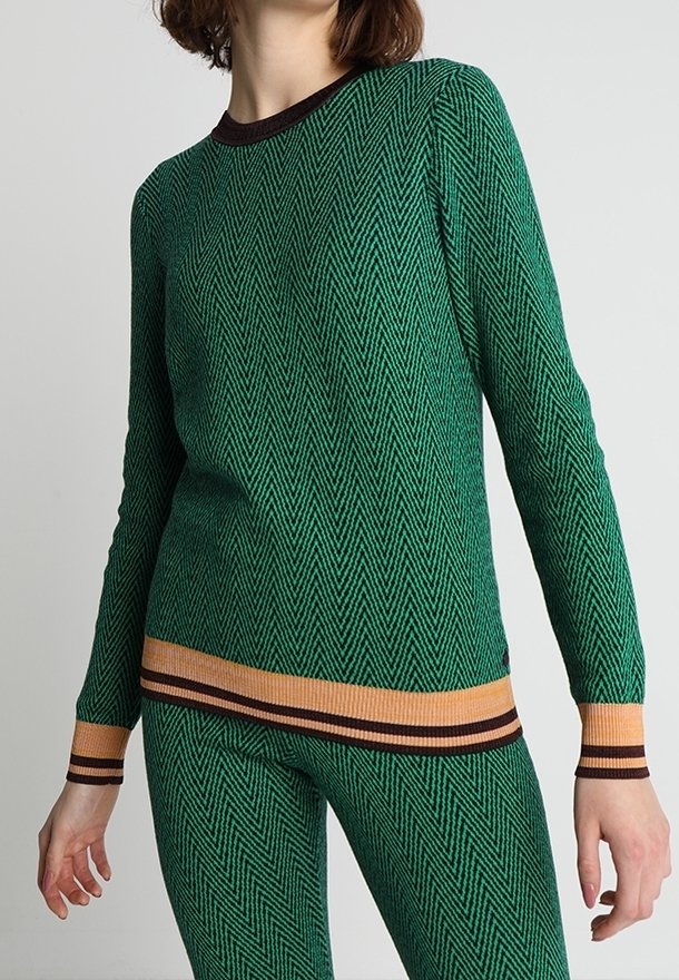 Grüner Strickpullover mit Zickzackmuster, langen Ärmeln, braunem Rundhalsausschnitt und kontrastierendem geripptem Saum mit orangen und braunen Streifen.