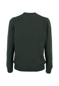 ACANFORA Maglione - verde