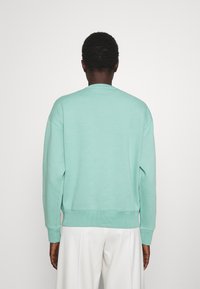 Mintgrön sweatshirt med rund halsringning, ribbade ärmslut och nederkant. Mjuk, slät textur, med neddragna axlar och en avslappnad passform.