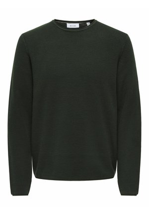 Maglione verde scuro a maglia con collo rotondo, maniche lunghe e superficie texturizzata. Nessun motivo visibile o dettagli in metallo.