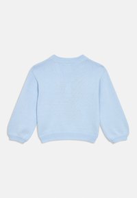 Light blue knitted long-sleeve sweater with ribbed cuffs, hem, and round neckline, shown from the back on a white background.