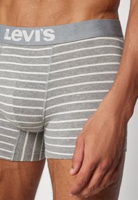 Gråstripete boxershorts med en lys grå elastisk midjebånd som har "Levi's"-logoen. Stoffet er myk bomull med synlige sømmer.