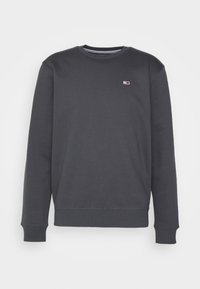 Felpa grigia scura realizzata in tessuto morbido. Presenta un colletto rotondo, maniche lunghe e una piccola etichetta con logo sul lato sinistro del petto.