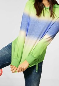 Långärmad hoodie i grön, blå och krämfärgad gradient. Mjuk tyg med elastiska mudd och dragsko i fållen. Har en avslappnad passform och en avslappnad stil.