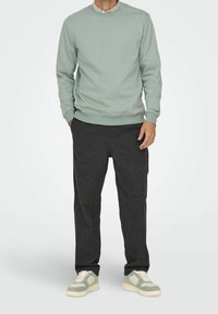 Felpa verde chiaro con scollatura rotonda, abbinata a pantaloni sportivi grigi scuri a gamba affusolata e sneakers con dettagli beige. Texture del tessuto morbida.