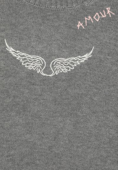 Pull en tricot gris avec une broderie de ailes blanches au centre et le mot "AMOUR" en rose en haut à droite.