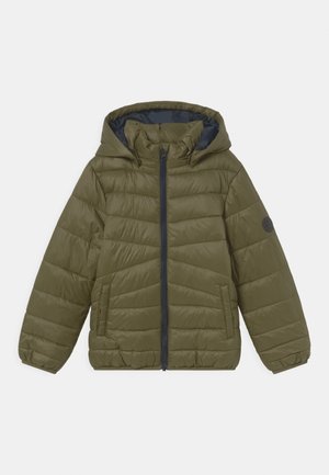 Winterjacke - ivy green