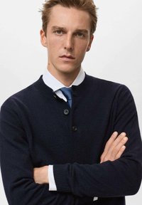 Maglione a maglia blu navy con scollatura rotonda, tre bottoni neri e polsini a coste. Indossato sopra una camicia bianca e una cravatta blu.