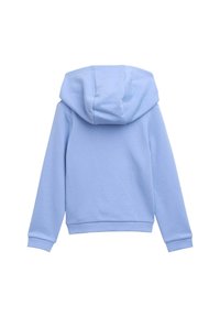 Felpa con cappuccio azzurro chiaro, dalla texture liscia, con polsini e orlo a costine e cappuccio strutturato. Vista posteriore senza ulteriori dettagli.