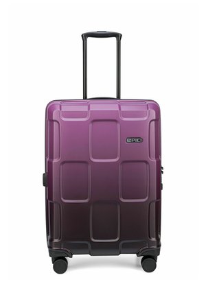 Luggage - ascendinggrape