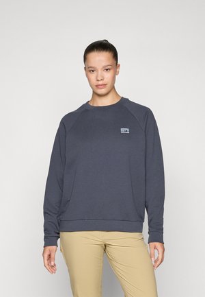 Felpa grigio scuro con maniche raglan, polsini e orlo a coste. Presenta una piccola patch colorata con logo sul petto. Texture liscia.