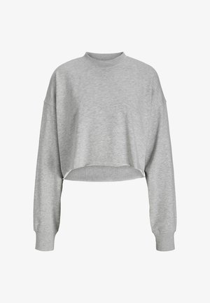 Kortärmad grå sweatshirt med lång ärm, rund hals och mjuk textur. Har en rå kant och avslappnad passform för bekväm användning.