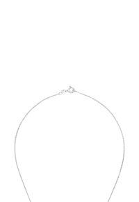 Silverfärgad kedjehalsband med en delikat design, som har runda länkar och en fjärringslås. Slät yta och polerad finish.