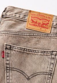 Levi's® LOOSE - Farkkushortsit - static tv