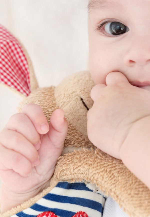 COMFORTER FROG - Kuscheltier - beige