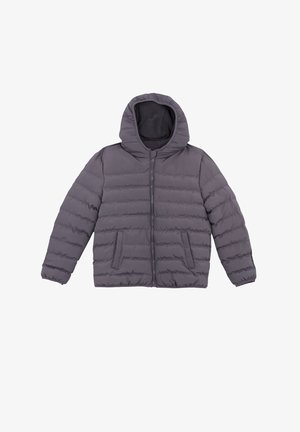 REGULAR FIT - Winter jacket - grey