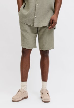 Jack & Jones, Plus Size Loose Fit - Šortky - seagrass