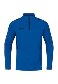 Maglia atletica blu a maniche lunghe con collo alto, zip a metà, dettagli neri e logo sulla parte frontale. Tessuto liscio con un design aderente.