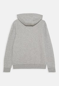 Haut à capuche gris clair avec des manches longues, des poignets et un bas côtelés, présenté de dos sur un fond blanc.