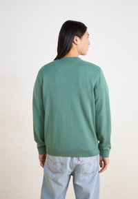 Green, knitted sweater with long sleeves, round neckline, and ribbed cuffs. Worn over light blue jeans, showing a smooth, even texture.