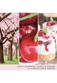 Yankee Candle SIGNATURE MEDIUM JAR PINK CHERRY VANILLA - Doftljus - pink