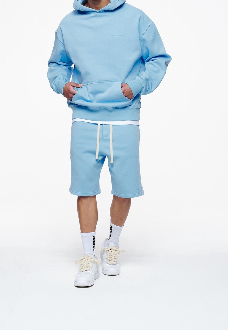 Pegador Luvtröja - light blue