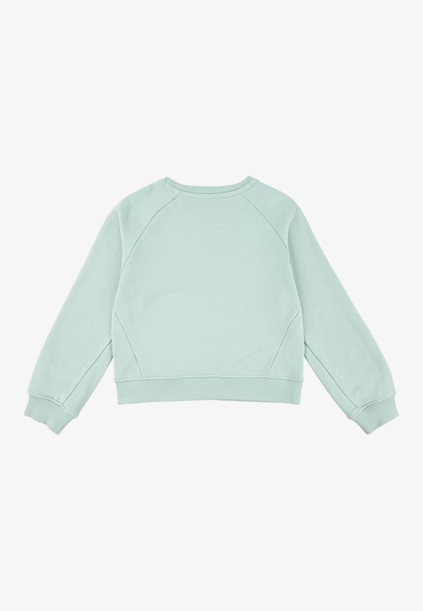 BATWING - Sweatshirt - celadon2