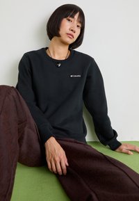 Columbia MARBLE CANYON™ CREW - Ikdienas džemperis - black