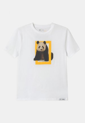 BOY NATIONAL GEOGRAPHIC TIGER - Camiseta estampada - optic white