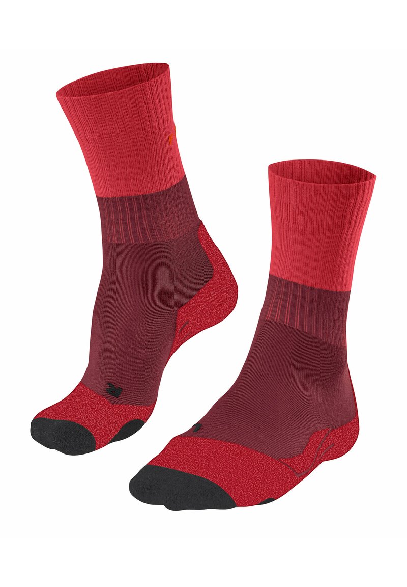 FALKE TK2  - Chaussettes de sport - merlot