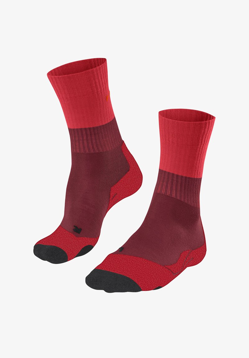 FALKE TK2 - Chaussettes de sport - merlot