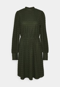 Tmavě zelené šaty s texturovaným vzorem, dlouhými rukávy, vysokým výstřihem a zúženým pasem, s sukní, která jemně splývá.