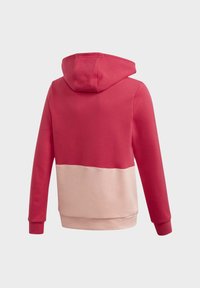 Hooded sweatshirt with a red upper and a light pink lower section. Features ribbed cuffs and a soft texture. Back view shown.