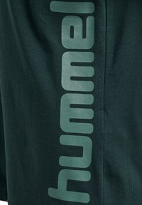 Mørkeblå shorts lavet af bomuld med et stort, lysegrønt "hummel"-logo trykt lodret på siden. Glat tekstur, afslappet design.